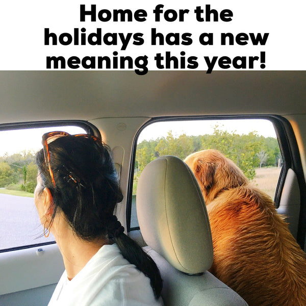 Home for the Holidays has a new meaning this year